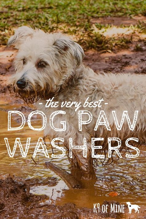 Best Dog Paw Washers For Cleaning Cane Feet! Sick of your pooch tracking in mud all over the house? Paw washers can keep your home and car clean after romps in the mud with Fido! #dogs #dogcare #doggrooming #dogcleaning #paws #pawwashing #dirtydog #cleandog Dog Paw Washing Station Diy, Dog Paw Washer, Muddy Dog Paw Solutions, Dog Paw Washing Station, Dog Paw Cleaning Station, Paw Washing Station, Paw Cleaner For Dogs, Dog Dryer, Boarding Kennels