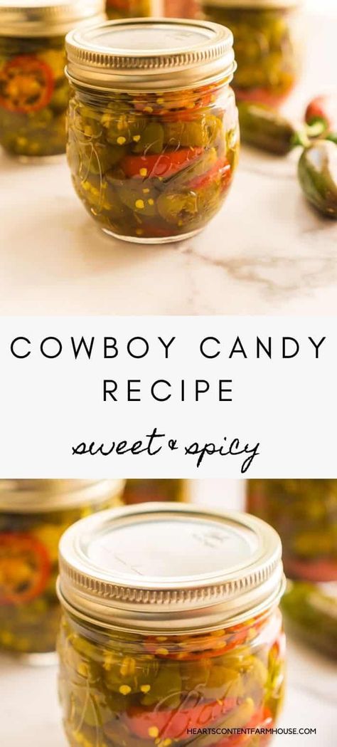 Canning Cowboy Candy Recipe, Cowboy Pickled Jalapenos, Jalapeno Jelly Recipe Cowboy Candy, Jalapeno Pepper Canning Recipes, Candied Jalapeno Recipes Canning, Canning Recipes Peppers, Pickling Canning Recipes, Cowboy Candy Jalapenos Canning Recipes Small Batch, How To Can Cowboy Candy