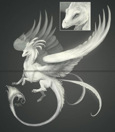 Sea Cloud Dragon design (adoptable) - CLOSED by Kamakru on DeviantArt Custom Species, Species Ideas, Feathered Dragon, Cloud Dragon, Impossible Pie, Mythical Animal, Mythical Beast, Dragon Pictures, White Dragon