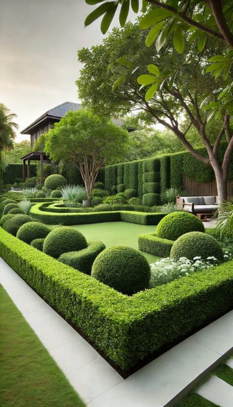 Patio Walls, Hedges Landscaping, France Garden, Boxwood Landscaping, Williamsburg Christmas, Garden Edging Ideas, Exotic Homes, Garden Hedges, Front Garden Landscape