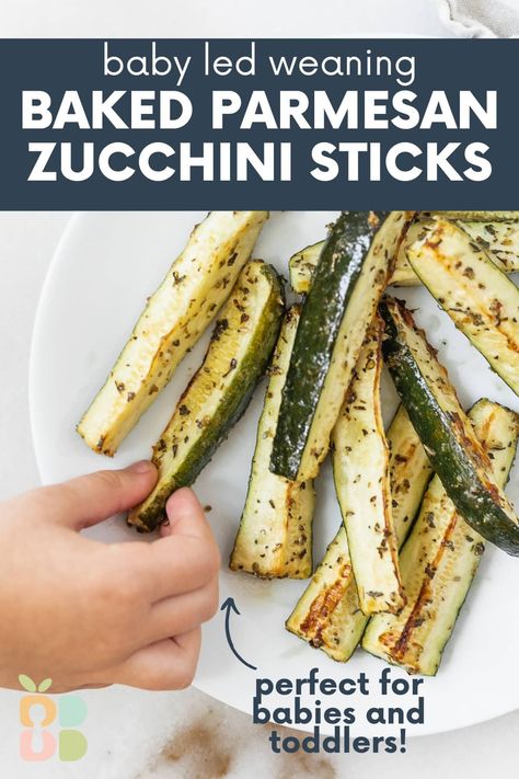 These oven-baked parmesan zucchini sticks coated with a simple Italian seasoning and parmesan blend are a delicious family side dish that is great for baby led weaning and toddlers. (gluten-free) Babyled Weaning Recipes, Zucchini For Toddlers, Toddler Zucchini Recipes, Zucchini For Babies, Zucchini Baby Led Weaning, Blw Zucchini Recipes, Zucchini Recipes For Baby, Meal Prep Baby Led Weaning, Blw Zucchini