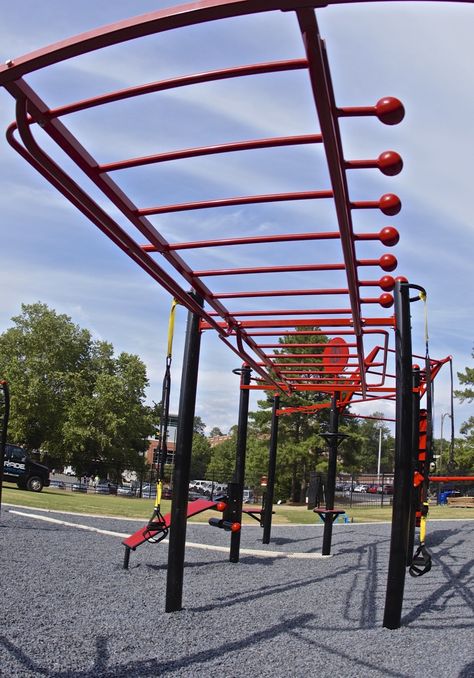 The T-Rex FTS Outdoor: Limitless Ninja Equipment, College Workout, Outdoor Gym Equipment, Workout Stations, Workout Room, American Ninja Warrior, Outdoor Fitness Equipment, Outdoor Workout, Jungle Gym