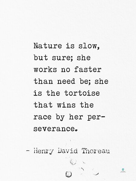 Nature is slow, but sure; she works no faster than need be.. Henry David Thoreau by Epicpaper store | Redbubble Henry David Thoreau Quotes Nature, Henry David Thoreau Tattoo, Henry Thoreau Quotes, David Thoreau Quotes, Henry David Thoreau Quotes, Thoreau Quotes, Wise People, Favorite Sayings, Henry David Thoreau