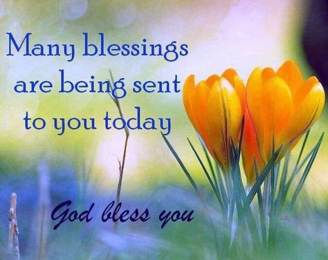 Many Blessings Are Being Sent To You Today, God Bless You life daily blessings blessing quotes life blessings God Bless You Quotes, Birthday Message For Daughter, Blessed Morning Quotes, God Blessings, Words Of Gratitude, Good Afternoon Quotes, Afternoon Quotes, Holy Quotes, Good Morning Spiritual Quotes