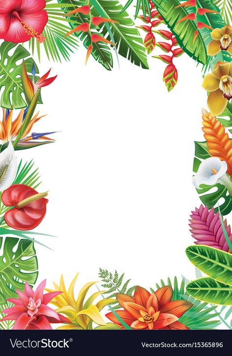 Tropical Illustration Art, Tropical Flowers Illustration, Tropical Plants And Flowers, Plants Vector, Tropical Frames, Tropical Invitations, Tropical Poster, Jungle Flowers, Island Pictures