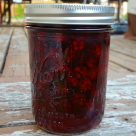 Cold Pack Sweet Canned Blackberries | Gazing In Canned Blackberries, Canning Blackberries, Plum Trees, Canned Fruits, Canning Vegetables, Blackberry Jam, Berries Recipes, Christmas Hamper, Cold Pack