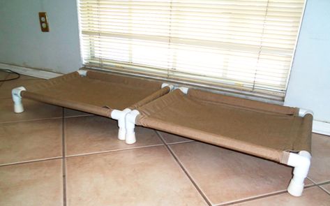 PVC dog cots - measurements for small dog cot - The DIY Girl Diy Dog Cot, Diy Pvc Dog Bed, Small Dog Breeds Chart, Pvc Dog Bed, Backyard Ideas Diy, Dog Bed For Small Dogs, Dog Breeds Chart, Bed Hammock, Indoor Dog House