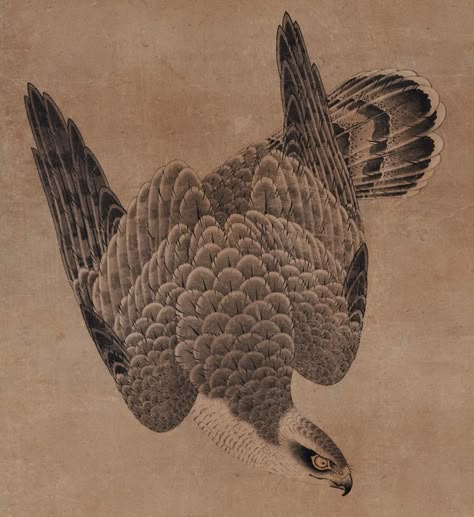 Japanese Falcon, Falcon Painting, Falcon Tattoo, Bodysuit Tattoos, Hawk Tattoo, Japanese Tattoo Symbols, Yakuza Tattoo, Japanese Bird, Arte Peculiar