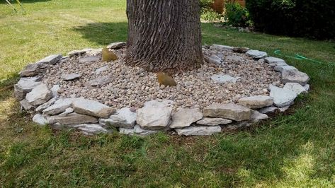 Stone edging katy landscape love the bed around trees spring snow flowering crab tree google search beautify, 26 best planting around trees images backyard patio easy mail box landscape flowers mailbox ideas diy. Create tree flower beds outside the house yard garden ideas around trees backyard landscaping large, backyard landscaping around large trees flowers a instead of planting these homeowners did something. #flowersgarden #flowersgardenideas Around Tree Landscaping, Ideas Around Trees, Flower Beds Ideas, Tree Landscaping, Backyard Creations, Landscaping Around Trees, Rock Flowers, Tree Landscape, Lawn Edging