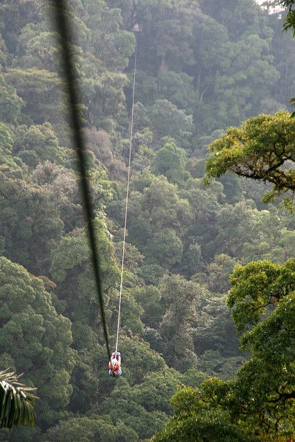 I zipped the largest zip line in the world ~  Arenal Costa Rica...thrilling! Carribean Life, Trip Goals, Rainforest Canopy, Arenal Costa Rica, Live Abroad, Zip Lining, Costa Rica Vacation, Zip Line, Puntarenas