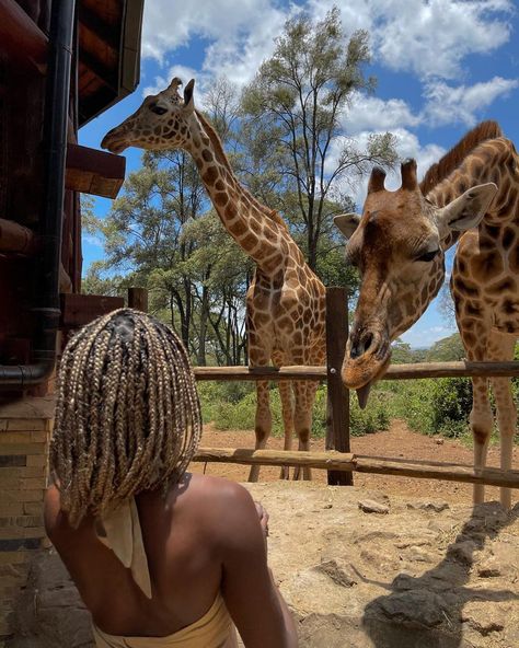 Lady Of Leisure on Instagram: “It was all going so well😂” Lady Of Leisure, Zanzibar Travel, Friend Vacation, Beautiful Photoshoot Ideas, Adventure Inspiration, Africa Do Sul, Vacation Mood, South Africa Travel, Africa Safari