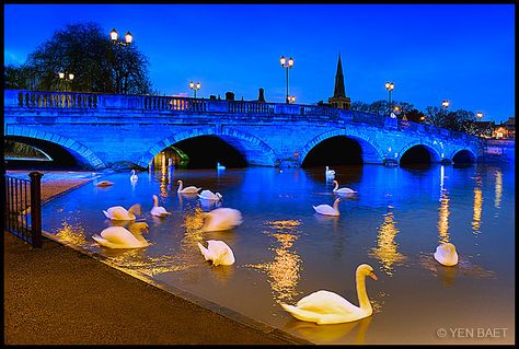 Bedford England. I stood right there during the day. Bedford Town Uk, Bedford England, England Vacation, Uk Places, Rain Falling, Pat Pat, Nikon D700, Arch Bridge, Uk Photos