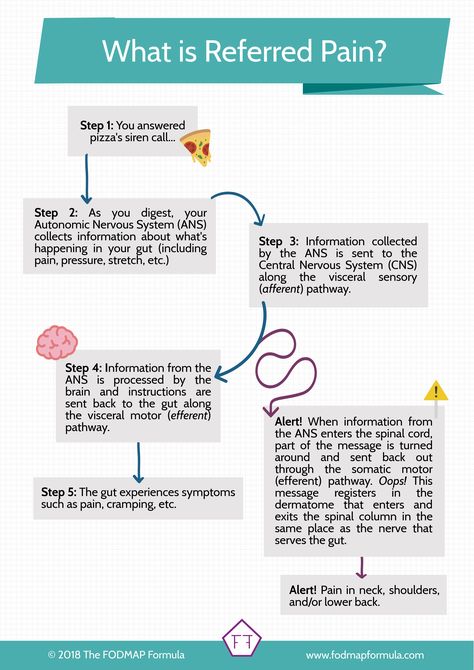 What is Referred Pain Infographic Ibs Diet Recipes, Stomach Pain Relief, What Is Ibs, Abdominal Pain Relief, Ibs Relief, Medical Binder, Ibs Diet, Referred Pain, Reduction Diet