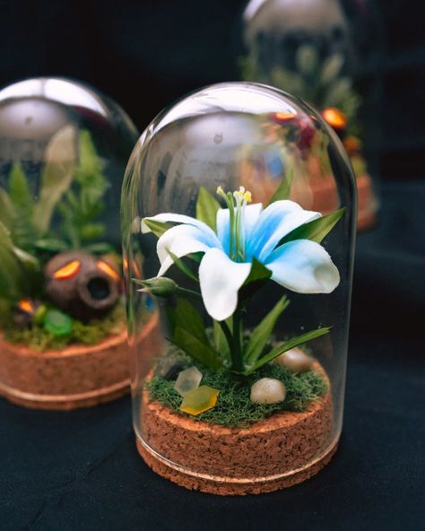 ✨ Silent Princess Mini Terrarium ✨ To see all available pokémon taxidermy, oddities, bugs, skulls, skeletons, and more, check out our website and Etsy shop! Link in bio 🖤 . . #legendofzelda #oddities #loz #videogameart #breathofthewild #botw #aesthetic Gengar Terrarium, Zelda Terrarium, Zelda Silent Princess, Botw Aesthetic, Silent Princess, Taxidermy Oddities, Mini Terrarium, Princess Flower, Gilbert Az