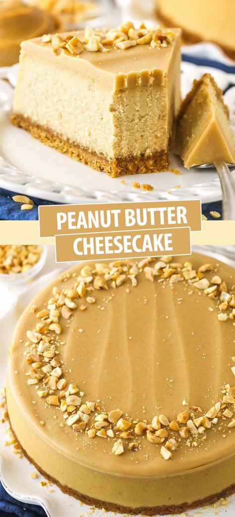 This Peanut Butter Cheesecake is thick, creamy and full of peanut butter! The peanut butter filling sits in a Nutter Butter cookie crust and is topped with rich peanut butter ganache! The best cheesecake for peanut butter lovers! Peanut Butter Cookie Cheesecake, Peanut Butter Chews Recipes, Peanut Butter Pastries, Peanut Butter Jelly Cheesecake, White Chocolate Peanut Butter Cheesecake, Baked Cheesecake Recipes Easy, Pot Luck Snacks, Peanut Butter Ganache Recipe, Peanut Butter And Chocolate Desserts