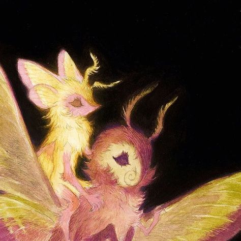 Rosy Maple Moth Character, Rosy Maple Moth Oc, Rosie Maple Moth, Rosy Maple Moth Art, Rosy Maple Moth Aesthetic, Pink Silk Moth, Rosy Maple Moth Tattoo, Pink And Yellow Moth, Moth Pfp