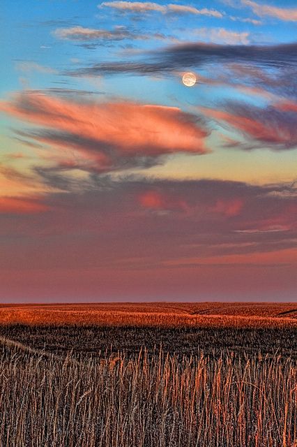 Kansas Landscape, Prairie Landscape, Landscape Mural, Tallgrass Prairie, Flint Hills, Mural Ideas, Good Night Moon, Beautiful Sights, Beautiful Sky