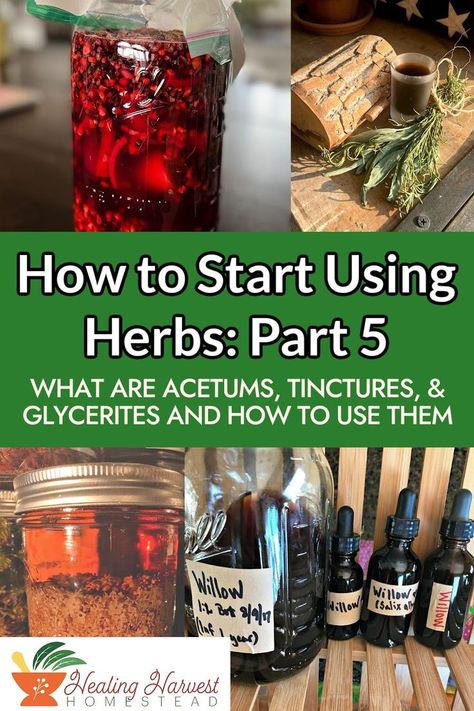 Once you've learned what herbs are, how to store them, and how to dose herbs the next step is how to prepare them! In part 4 of this series we learned about teas, but you can extract herbs in vinegar, alcohol and vegetable glycerine too. Each herbal prep has its own pros and cons, so read on and find out which one works best for you! Here is Part 5 in my 9 part series of how to start using herbs for your health and wellness.#herbalism #herbalpreps #acetum #tinctures #glycerites How To Make A Glycerin Tincture, Make Your Own Tincture, How To Make A Tincture Herbs, Herbal Tinctures Recipes, Diy Tinctures Herbal Medicine, Making Tinctures Herbal Medicine, Diy Herbal Remedies, Herbal Tonic, Medical Herbs