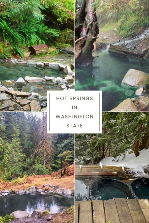 How to Enjoy Winter in Seattle - Vacation Washington State Dry Falls Washington, Christmas Washington State, Fall In Washington State, Seattle Washington Things To Do, Washington Fall, Moving To Washington State, Shelton Washington, Silverdale Washington, Washington Things To Do