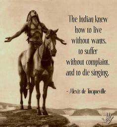 Indian Wisdom, Native Quotes, American Quotes, Indian Quotes, Native American Wisdom, Native American Paintings, Native American Warrior, Native American Images, Native American Men