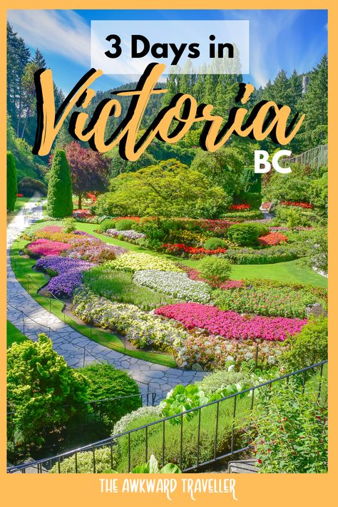 Take a lovely weekend trip to the capitol of British Columbia! Spend your 3 days in Victoria seeing the best of what this city has to offer! #travelcanada #victoriabc #britishcolumbia Victoria Island Canada, Vancouver Trip, Vancouver Vacation, British Columbia Travel, Canada Vacation, Canada Trip, Vancouver Travel, Victoria Canada, Victoria Bc Canada