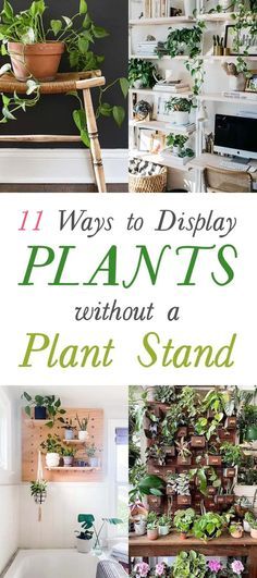 Ways To Display Plants, Ladder Ideas, Indoor Plant Display, Plant Display Ideas, Indoor Plants Styling, Tattoo Plant, Indoor Plant Wall, Window Plants, Hanging Plant Wall