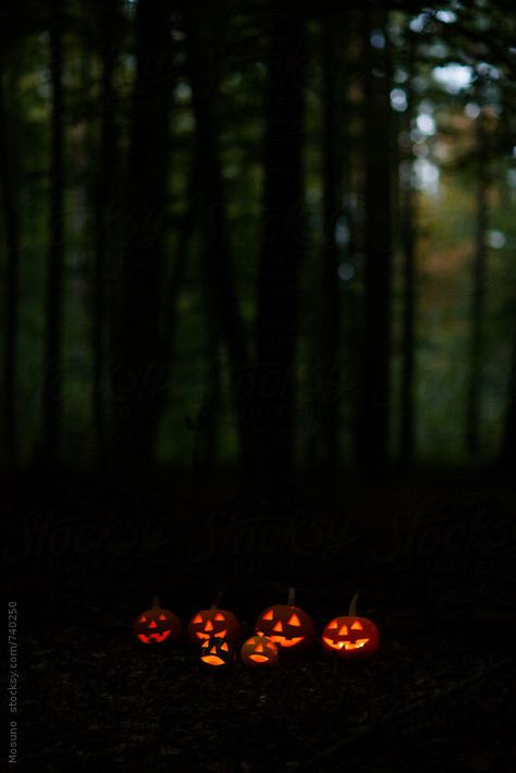 Scary Halloween Pumpkins in the Forest at Dusk by Mosuno Halloween Wallpaper Iphone Scary, Wallpaper Iphone Scary, Halloween Fotos, Scary Halloween Pumpkins, Halloween Decor Diy, Psy Art, Halloween Tags, Halloween Wallpaper Iphone, Season Of The Witch