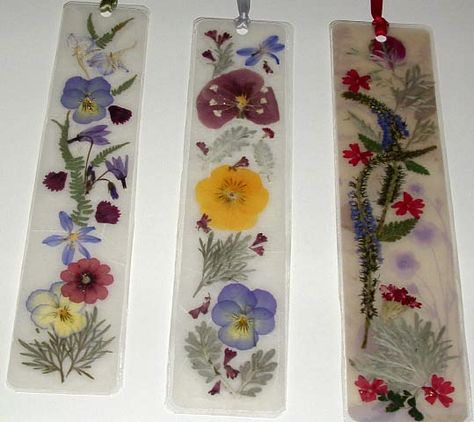 Now that summer has arrived and the flowers are in full bloom, why not use nature’s florals to make unique gifts for  the special people in... Pressed Flower Bookmarks, Pressed Flowers Diy, Press Flowers, Drying Flowers, Flower Bookmarks, Pressed Flower Crafts, Flower Press, Dried And Pressed Flowers, Flower Bookmark