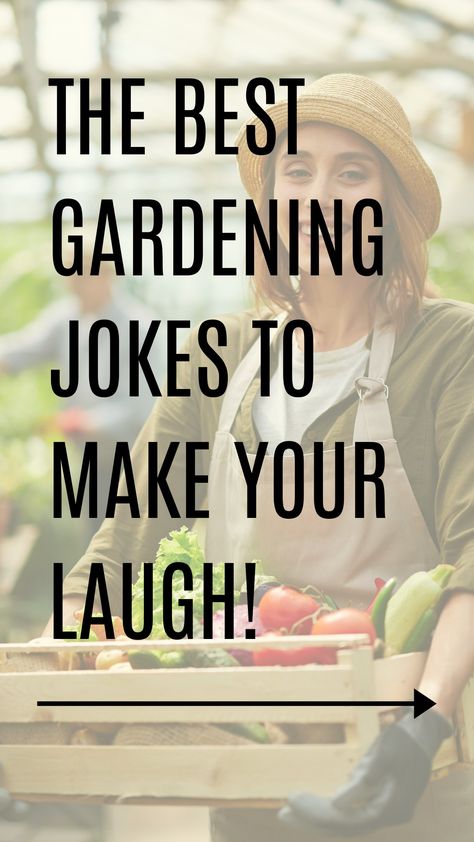 Garden Humor Hilarious, Garden Funny Humor, Gardening Jokes Funny Hilarious, Gardening Humor Hilarious, Garden Jokes Humor, Gardening Quotes Funny Hilarious Humor, Happy Birthday Gardener Funny, Gardening Funny Humor, Plant Jokes Funny