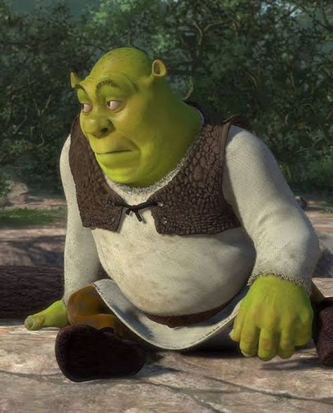 Shrek Funny, Shrek Memes, Morning Sun, Shrek, Next Week, Funny