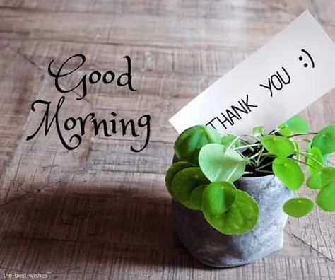 Thank You Quotes For Friends, Good Morning Honey, Happy Holidays Greetings, Thank You Wishes, Greeting Card Image, Good Morning My Friend, Good Morning Greeting Cards, Good Morning Post, Greetings Images