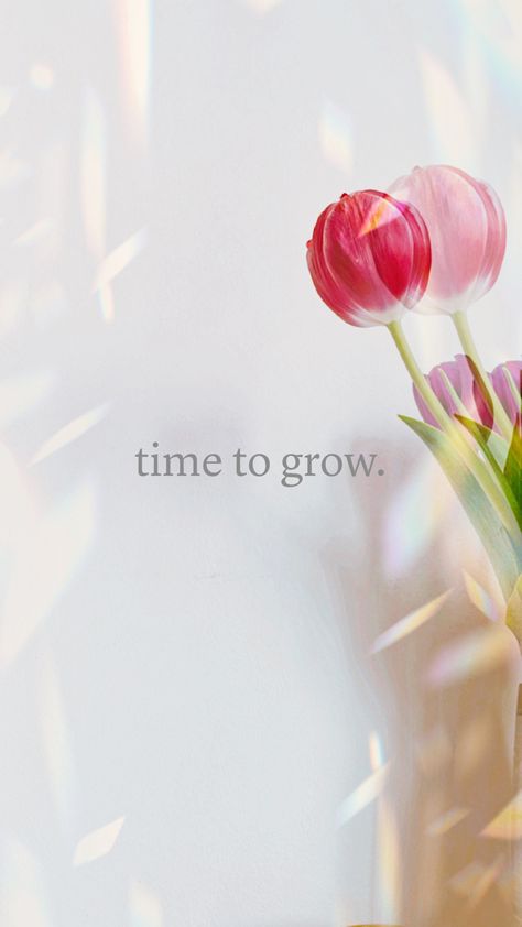 Be the best version of yourself.🌺 #timetoshine #motivation #motivationalquotes #wallpaper #wallpaperforyourphone #wallpaperideas #wallpaperforiphone #flowers #flowerstagram #tulips #time Tulip Meaning, Tulip Quotes, Tulips Quotes, Affirmation Aesthetic, Tulips Meaning, Word Quotes, Motivational Wallpaper, Aip Recipes, Best Version Of Yourself