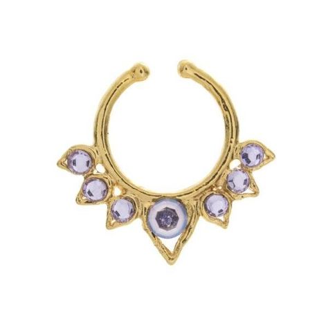 Fancy Lavender Jewel Aurora Clip ($18) ❤ liked on Polyvore featuring jewelry, fancy jewelry, lavender jewelry, sterling silver jewelry, fancy jewellery and fake jewelry Lavender Jewelry, Aurora Ring, Lavender Jewellery, Faux Septum, Jewelry Fancy, Face Jewellery, Fake Jewelry, Fancy Jewellery, Fancy Jewelry