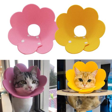 Adjustable Cat Recovery Collar - Cute Flower Neck Cat Cones After Surgery, Set of 2 Cat E Collar, Surgery Recovery Elizabetha Cone Collar, Dog Cone, Elizabethan Collar, Collars Diy, Surgery Recovery, After Surgery, Cute Flower, Cat Health, Cat Pet Supplies