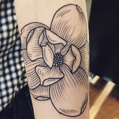 Magnolia tattoo American Traditional Magnolia Tattoo, Traditional Magnolia Tattoo, Gardenia Tattoo, Plant Tattoos, Magnolia Tattoo, Tattoo Time, Tattoo Board, Plant Tattoo, Magnolia Flowers