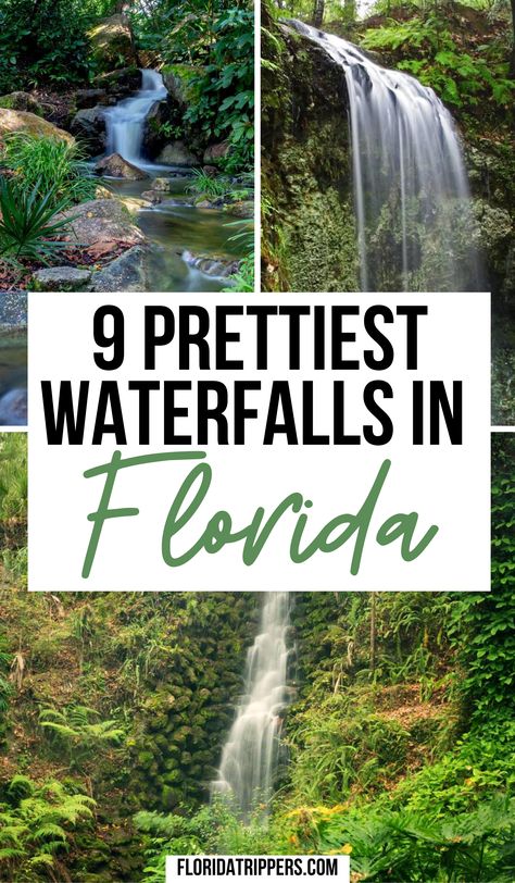 9 Prettiest Waterfalls in Florida | waterfalls in florida | florida waterfalls | rainbow springs florida waterfalls | best waterfalls in florida | pretty waterfalls in florida | beautiful waterfalls in florida | waterfalls in south florida | #waterfallsinflorida #floridawaterfalls Florida On A Tank Full, Florida Waterfalls, Florida Hiking, Florida Trips, Florida Vacation Spots, Florida Travel Destinations, Travel Florida, Florida Travel Guide, Rainbow Springs