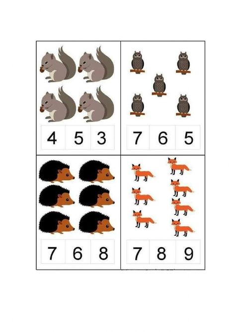 Forest Animals Activities, Forest Animals Preschool, Preschool Counting Worksheets, Animals Activities, Preschool Counting, Animal Worksheets, Montessori Math, Animal Activities, Math Activities Preschool