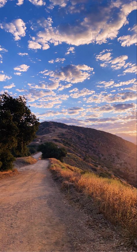 Morning Hike Aesthetic, Hiking Aesthetic California, Hiking Trails Aesthetic, Running Trail Aesthetic, California Hiking Aesthetic, Hiking Vision Board, Hiking Trail Aesthetic, Calming Nature Aesthetic, Hikes Aesthetic