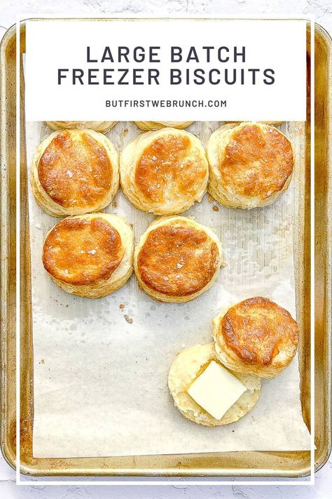 Freezer Buttermilk Biscuits, Large Batch Biscuits, Lunch Biscuit Ideas, Biscuits For Breakfast Sandwiches, Freezable Biscuits, Large Batch Biscuit Recipe, Large Batch Recipes, Large Batch Bread Recipes, Large Batch Baking