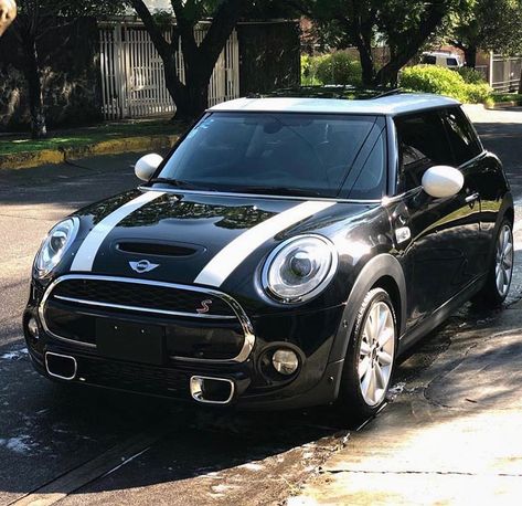 Mini Cooper Color Combination, Mini Cooper Decor, Mini Cooper Graphics, Black Mini Cooper, Mini Cooper Interior, 2007 Mini Cooper, Mini Copper, Tiny Cars, Mini Coopers