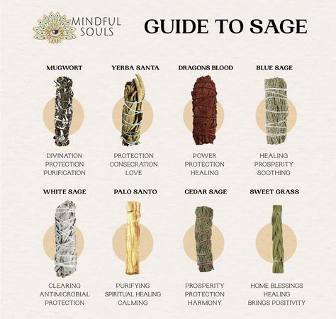 Different Types Of Sage, Enchanting Spells, Cleansing Space, Types Of Sage, Cleansing Herbs, Sage Benefits, Spiritual Shop, Yerba Santa, Sage Smudging