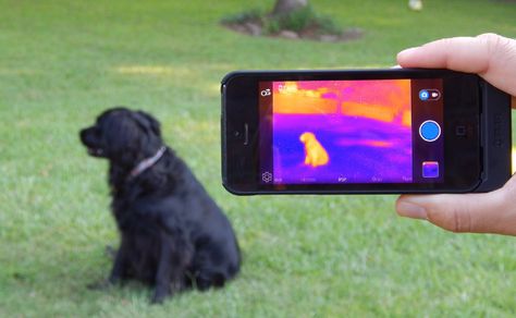 Infrared Camera, Camera Outline, Disney Cute, Thermal Imaging Camera, Advanced Photography, Iphone Battery, Infrared Photography, First Iphone, Galaxy S3