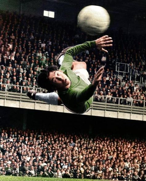 Gordon Banks, Stoke City, Banks, Football, Concert, History, Twitter, Pins, American Football