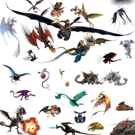 How To Train Your Dragon🐲😊 #httyd3 How To Train Your Dragon Species, Types Of Monsters, Dragon Village, Dragon Species, Types Of Dragons, Dreamworks Dragons, Httyd Dragons, Dragon Trainer, Train Your Dragon