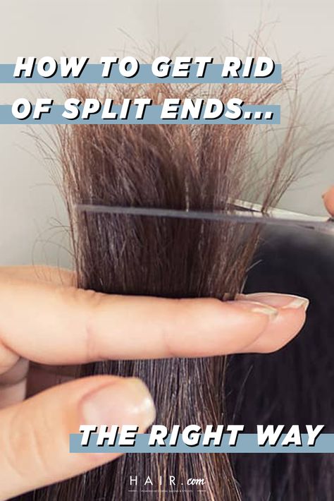 Repairing Split Ends, Haircuts For Split Ends, Damaged Ends Repair, Haircuts To Fix Damaged Hair, Split Ends Repair Homemade, Trim Own Hair Split Ends, How To Help Split Ends, How To Trim Dead Ends At Home, Trim Hair At Home Split Ends