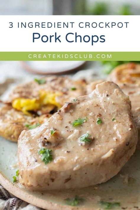 Our 3 ingredient crockpot pork chops are a simple, easy dinner recipe that can quickly be thrown together, even on those busy weeknights! Made with kitchen staples, this family favorite is a great recipe to add to your weekly meal rotation. 3 Ingredient Crockpot Pork Chops, Pork Chops Cream Of Mushroom, Leftover Shredded Pork, 10 Ingredients Or Less Recipes, Recipes For Pulled Pork, Easy Pulled Pork Crock Pot, Ground Beef Crockpot, Chicken Crock Pot Recipes, Beef Crockpot Recipes