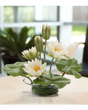 Water Lily Centerpiece (Officescapesdirect.com) Water Lily Arrangement, Water Lily Decorations, Water Lily Centerpiece, Water Lily Bouquet, Wedding Ikebana, Water Lily Wedding, Artificial Flower Arrangements Centerpieces, Frog Wedding, Bridal Basket