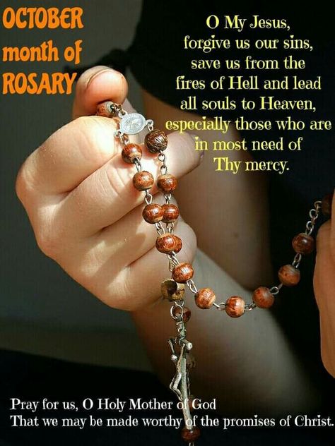 Recite the Rosary everyday Saying The Rosary, Rosary Prayer, Praying The Rosary, Holy Rosary, The Rosary, Holy Mary, Faith Prayer, Catholic Prayers, Rosary Beads