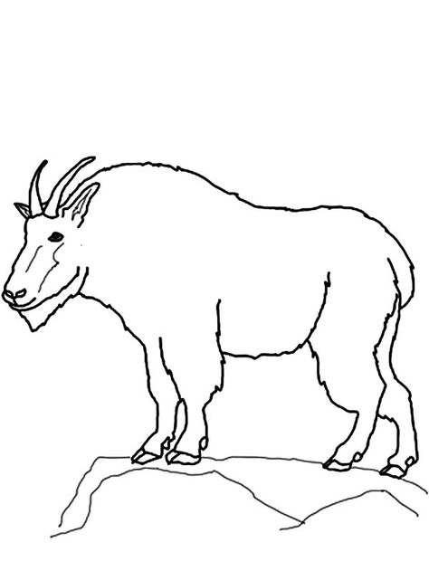 Drawing Mountain Goat Coloring Pages : Color Luna Mountain Goat Drawing, Goat Coloring Pages, Sky Mural, Print Drawing, Mountain Drawing, Animal Embroidery Designs, Coloring Ideas, Church Activities, Mountain Goat