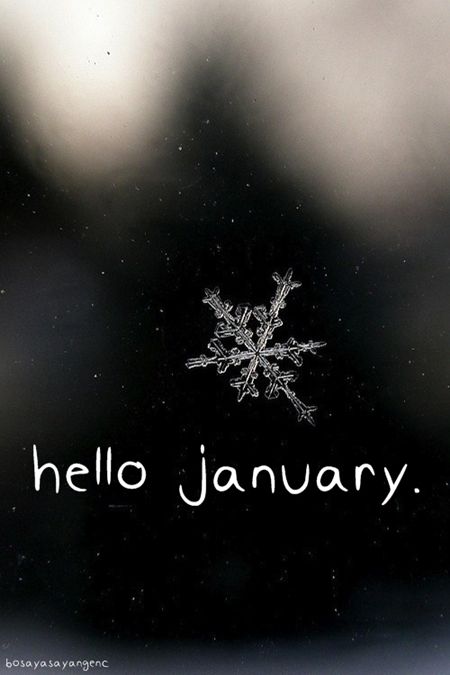 Hello January Quotes, Winter Banner, January Wallpaper, Neuer Monat, January Quotes, Everything Is Beautiful, Hello January, Seasons Months, Monthly Quotes